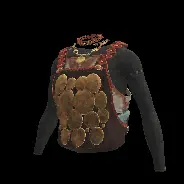 BODY