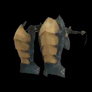 WAIST