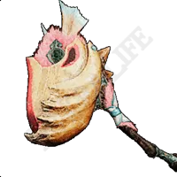 怪鳥喙錘Ⅰ